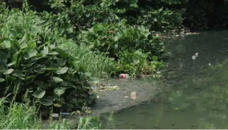 Lluvia y basura desbordan cárcamo en Tamulté