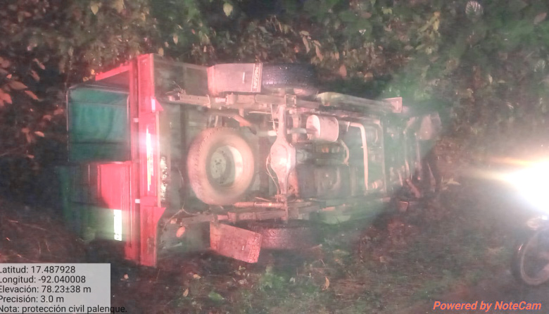 Caída de árbol provoca volcadura de camioneta