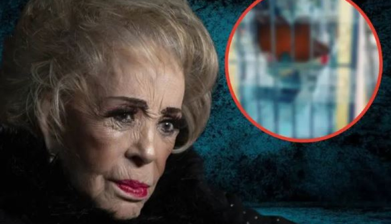 Destrozan tumba de Silvia Pinal