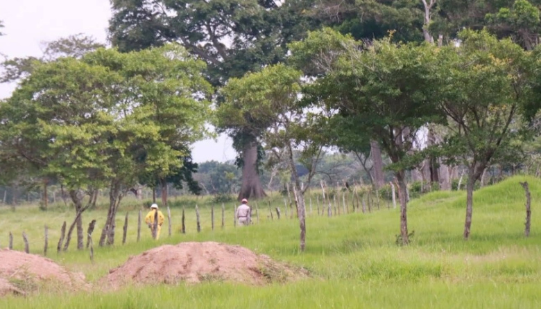 Atiende Pemex pérdida de contención en ducto de Jalapa, Tabasco