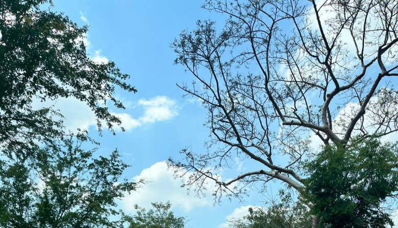 Piden avances de obra en puente a San Mateo