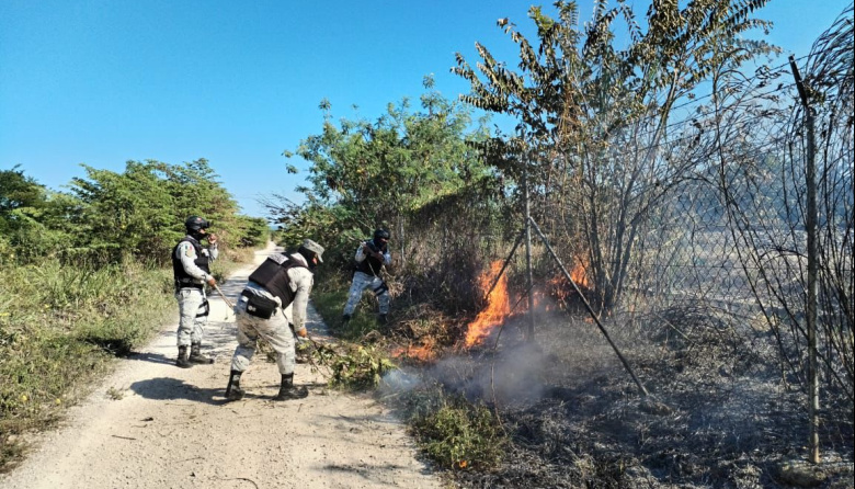 Controlan incendio en derecho de vía del Tren Maya
