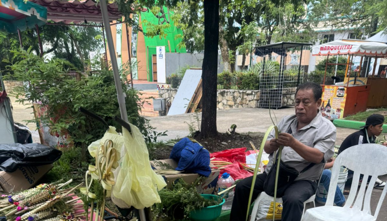 Comerciantes fortalecen tradición del Domingo de Ramos