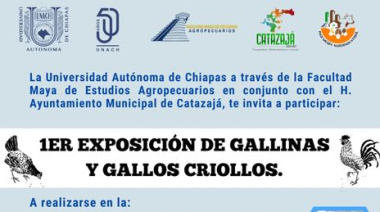 Concurso de gallinas y gallos criollos en Catazajá