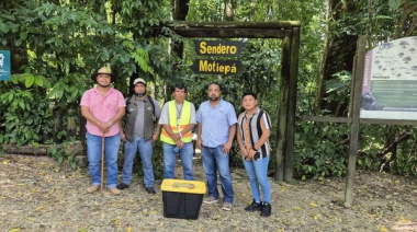 Protegen ejemplar de fauna silvestre en Palenque