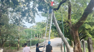 Mantenimiento ha alumbrado público en Palenque