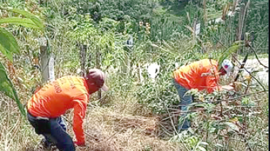 PC abre brecha cortafuegos  para prevenir incendios
