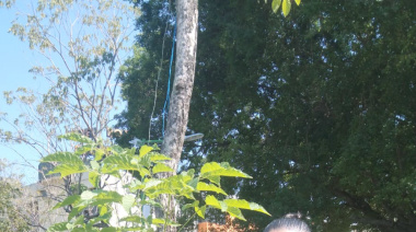 El Árbol de Maculís en su 19º Aniversario