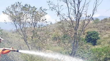 Gobierno Municipal de Ocosingo atiende con éxito incendio de pastizal durante Semana Santa