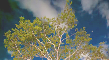 Rehabilitan alumbrado rumbo a la zona arqueológica