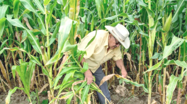 Productores del Soconusco, sin protección ante desastres