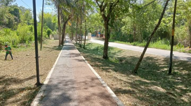 Refuerzan labores de limpieza en el andador Palenque–Zona Arqueológica