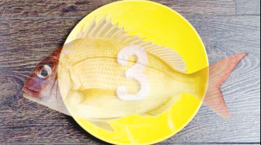 "¡Alerta global! El 85 % del mundo no consume suficiente omega-3, esencial para el cerebro y el corazón"