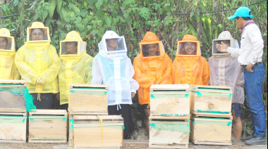 Impulsan la apicultura en Tumbalá