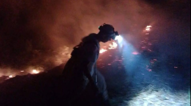 Ola de incendios arrasa con zonas verdes