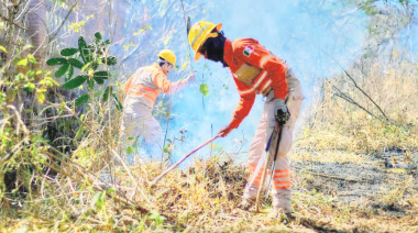 En peligro selva y bosques de Chiapas por incendios