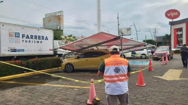 Lluvias provocan caídas de árboles y encharcamientos