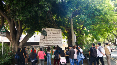 “Laureano también vive aquí”: el árbol centenario que une a vecinos en defensa del patrimonio natural