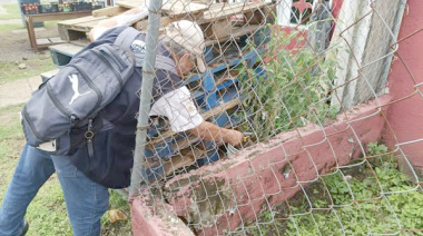 Intensifican acciones contra el dengue en Tapachula