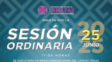Congreso de Chiapas discutirá  penalización del maltrato animal