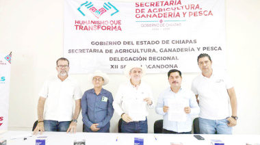 Entregan desparasitantes contra  el gusano barrenador en Chilón