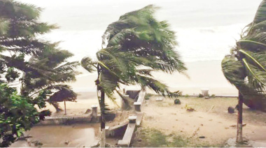 El impacto de los huracanes en la flora y la fauna