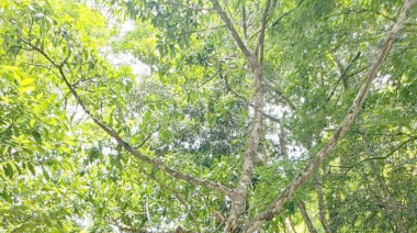 SEMARNAT a punto de cometer una grave injusticia