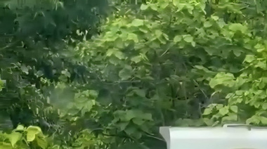 Volqueteros chocan  en peligrosa curva en Tila