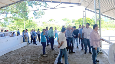 Avanzan preparativo para Exposición  Nacional de Ganado Brahmán