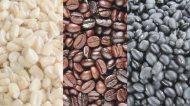 Chiapas destaca en acopio  de maíz, frijol y cacao