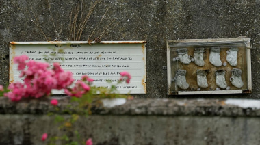 Indignación en Irlanda: Inician exhumación de fosa común con restos de casi 800 bebés en antiguo orfanato católico