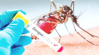 Más de 300 casos de Dengue, confirmados