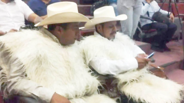 Regresa el festival “Bats´l Fest”