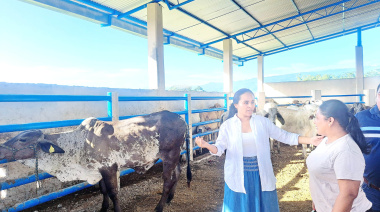 Impulsan ganadería en Tumbalá