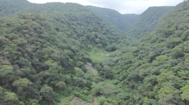 Clausuran proyecto “Gran Mayán”