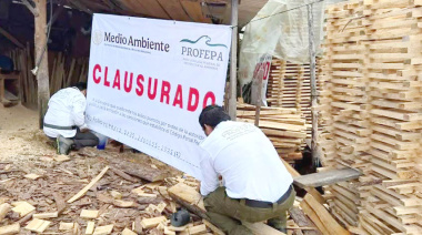 PROFEPA clausura aserraderos clandestinos