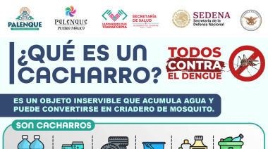 Lanzan campaña de descacharrización en Palenque