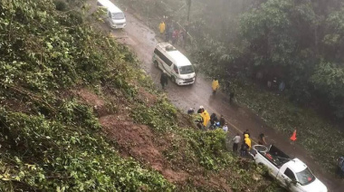 Caída de árboles deja sin luz a pobladores