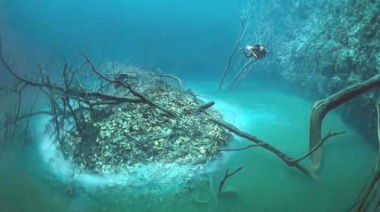 Cenote Angelita, el río subterráneo de Tulum