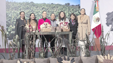 Sheinbaum presenta Plan Nacional de Maíz Nativo
