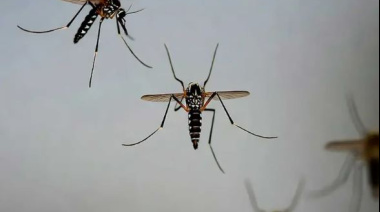 Casos de dengue en México rozan los 17 mil