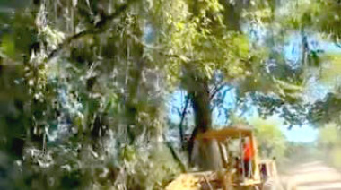 Mejoran caminos en Salto de Agua