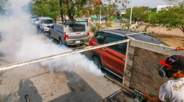 Disminuyen los casos de dengue