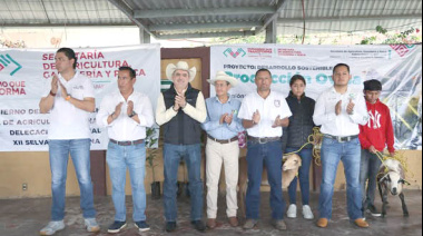 Fortalecen proyectos productivos en Ocosingo