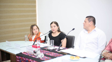 La titular de SMyT comparece ante el Congreso