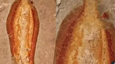 “‘Milagro’ en Chiapas: descubren silueta de la Virgen de Guadalupe en terreno abandonado”