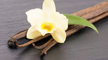 Día Nacional de la Vainilla