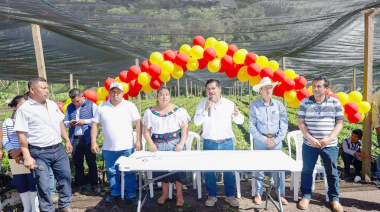 Chilón impulsa a los cafeticultores