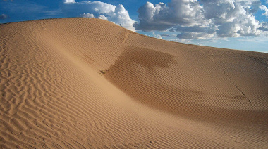 Samalayuca, el mar de arena de Chihuahua