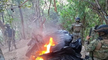 Semar destruye campamento del crimen organizado